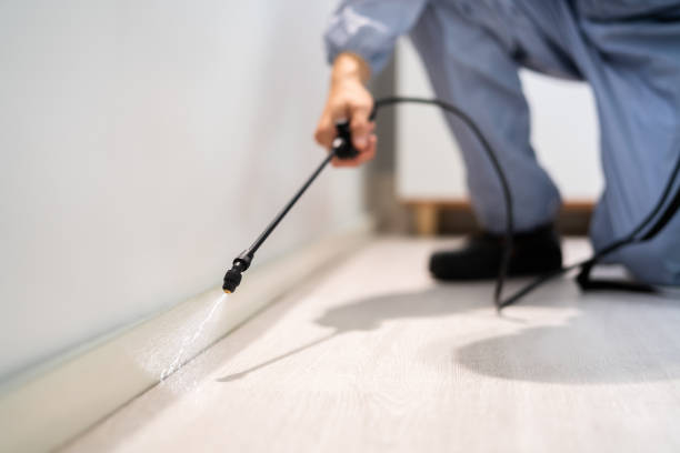 Licensed Pest Control service in Smyth County County, VA - Nex Pest Control