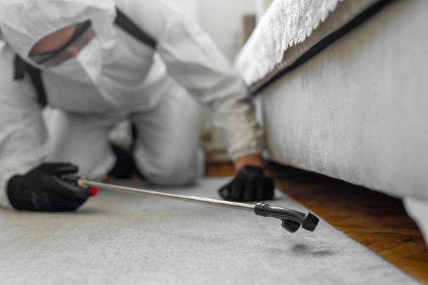 Professional Pest Control technician working in Smyth County County, VA